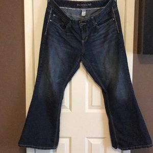 Maurice’s Briana Boot-Cut Jeans.  18 Short.